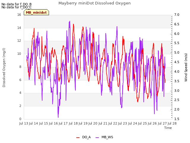 plot of Mayberry miniDot Dissolved Oxygen