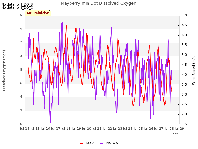 plot of Mayberry miniDot Dissolved Oxygen