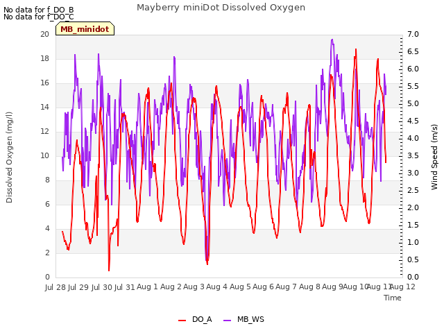 plot of Mayberry miniDot Dissolved Oxygen