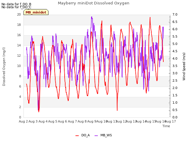 plot of Mayberry miniDot Dissolved Oxygen