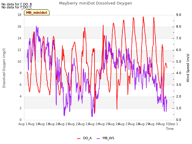 plot of Mayberry miniDot Dissolved Oxygen