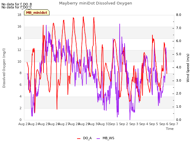 plot of Mayberry miniDot Dissolved Oxygen