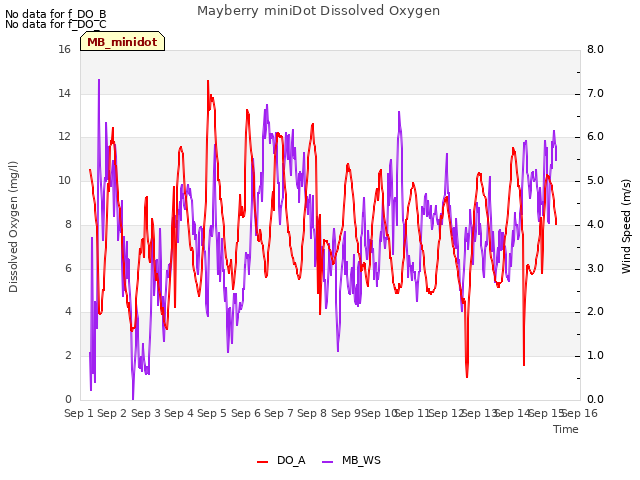 plot of Mayberry miniDot Dissolved Oxygen