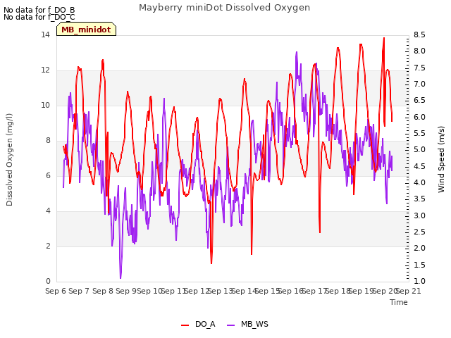 plot of Mayberry miniDot Dissolved Oxygen