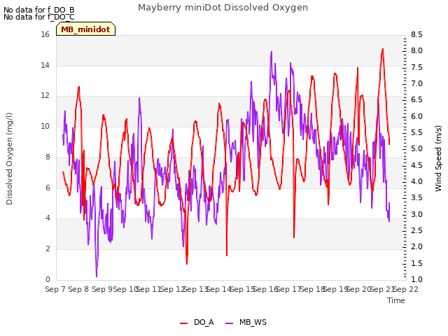 plot of Mayberry miniDot Dissolved Oxygen