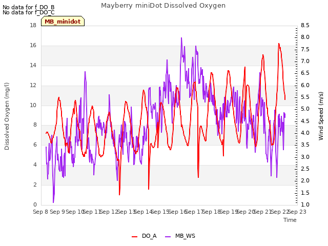 plot of Mayberry miniDot Dissolved Oxygen