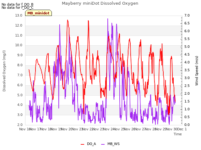 plot of Mayberry miniDot Dissolved Oxygen