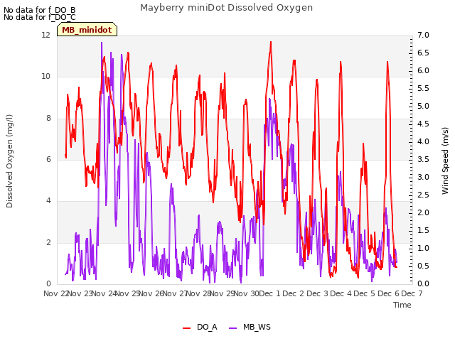 plot of Mayberry miniDot Dissolved Oxygen