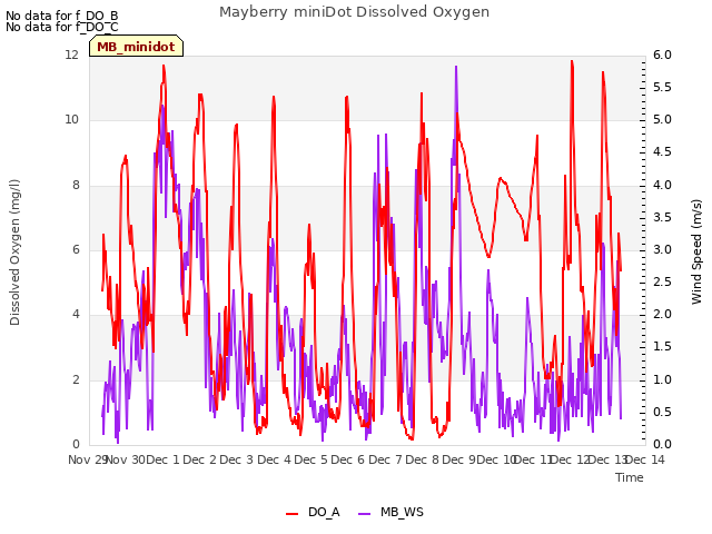 plot of Mayberry miniDot Dissolved Oxygen