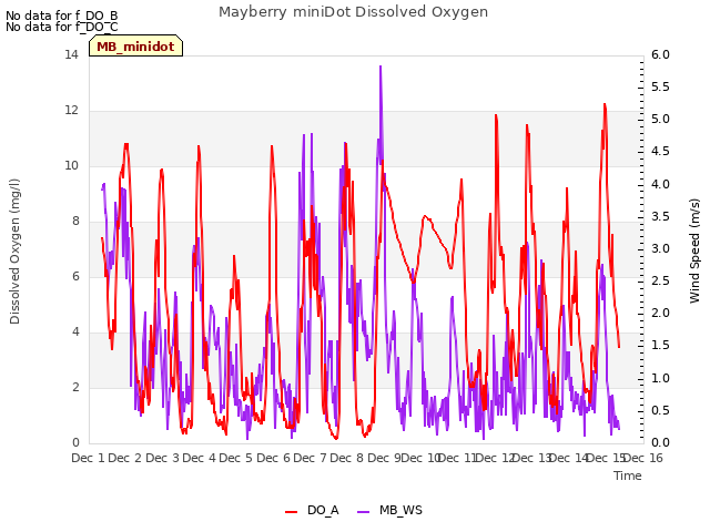 plot of Mayberry miniDot Dissolved Oxygen