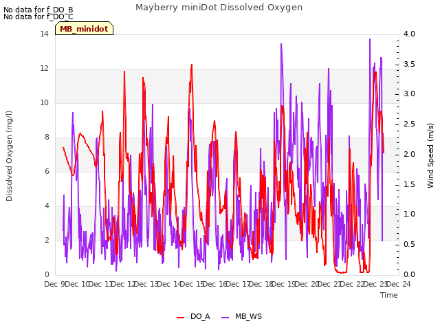 plot of Mayberry miniDot Dissolved Oxygen