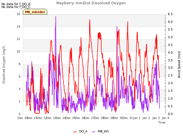 plot of Mayberry miniDot Dissolved Oxygen