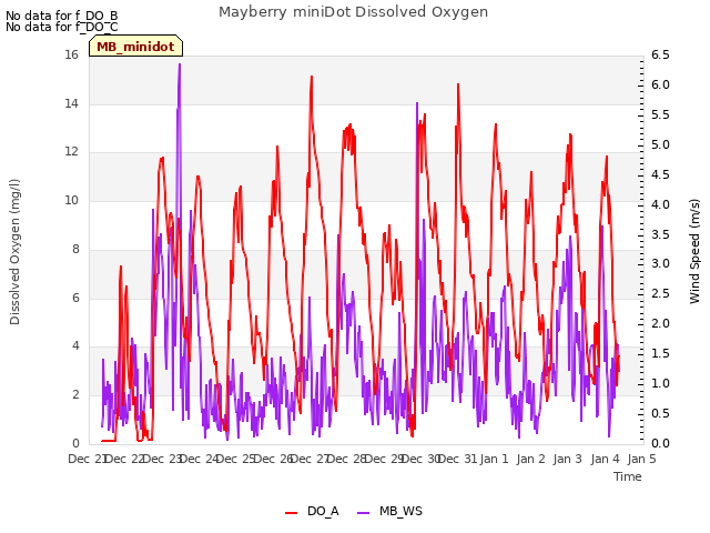 plot of Mayberry miniDot Dissolved Oxygen