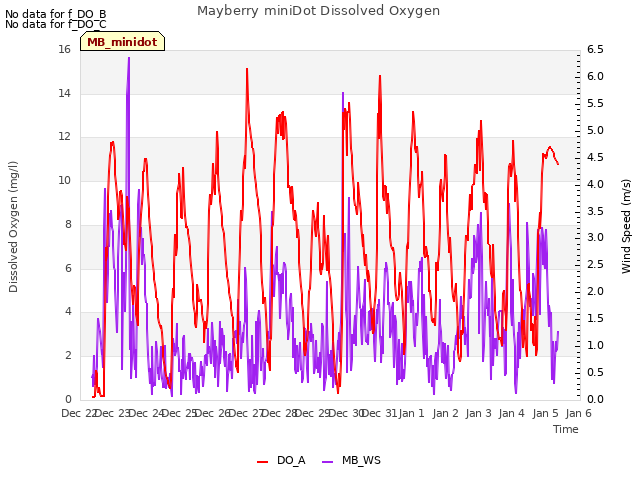 plot of Mayberry miniDot Dissolved Oxygen