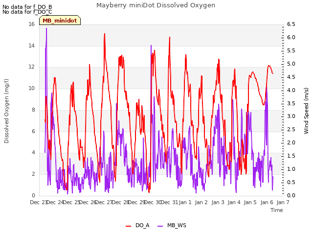 plot of Mayberry miniDot Dissolved Oxygen