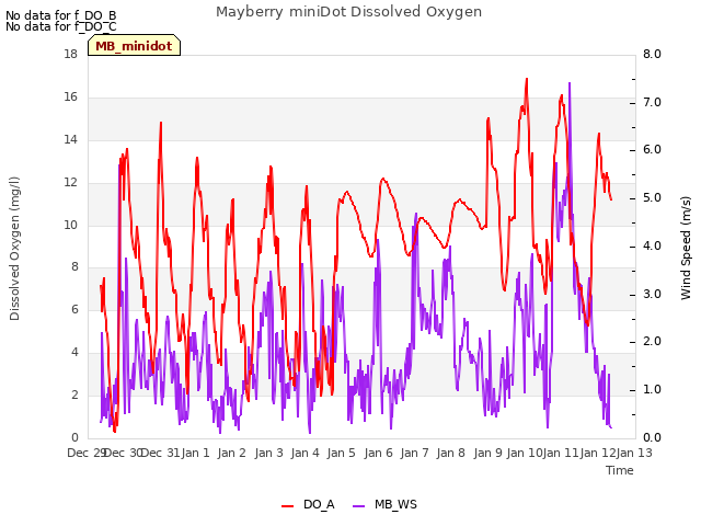 plot of Mayberry miniDot Dissolved Oxygen