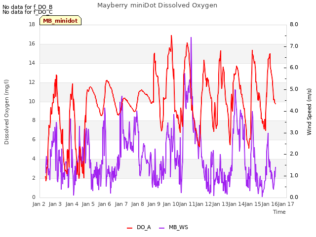 plot of Mayberry miniDot Dissolved Oxygen