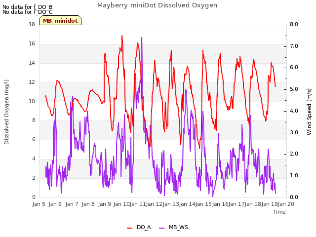 plot of Mayberry miniDot Dissolved Oxygen