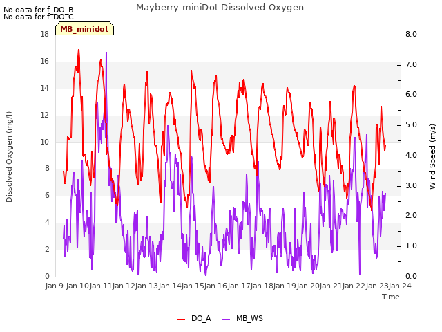 plot of Mayberry miniDot Dissolved Oxygen