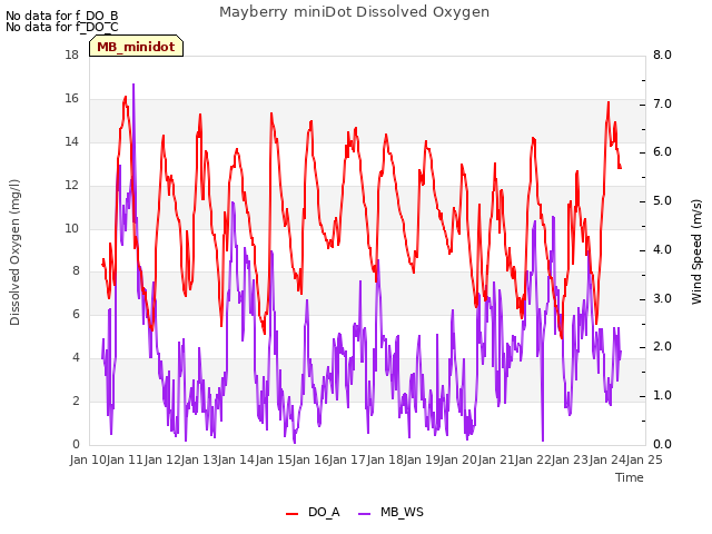 plot of Mayberry miniDot Dissolved Oxygen