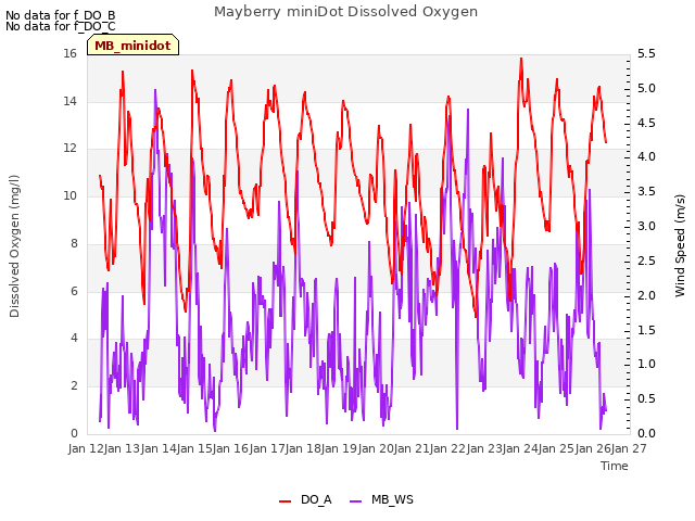 plot of Mayberry miniDot Dissolved Oxygen