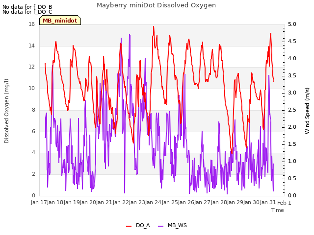 plot of Mayberry miniDot Dissolved Oxygen