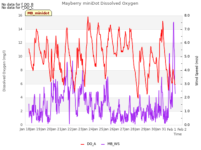 plot of Mayberry miniDot Dissolved Oxygen