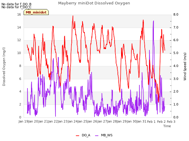 plot of Mayberry miniDot Dissolved Oxygen