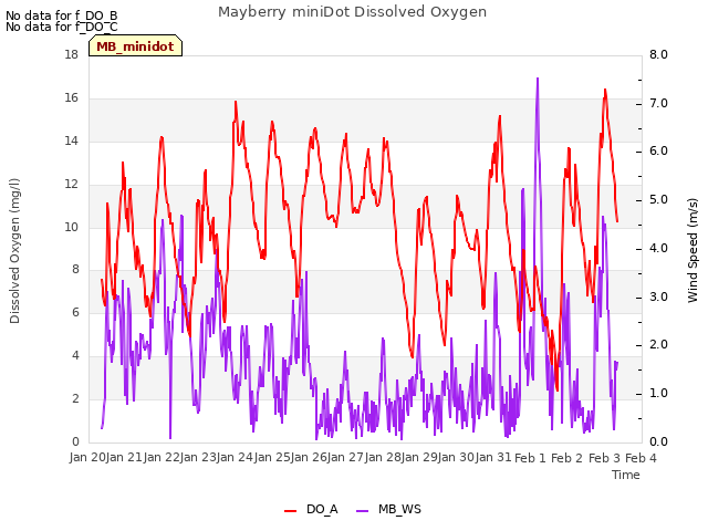 plot of Mayberry miniDot Dissolved Oxygen