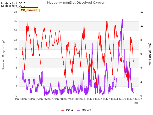 plot of Mayberry miniDot Dissolved Oxygen