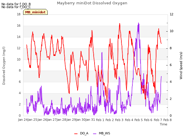 plot of Mayberry miniDot Dissolved Oxygen