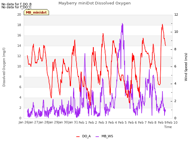 plot of Mayberry miniDot Dissolved Oxygen