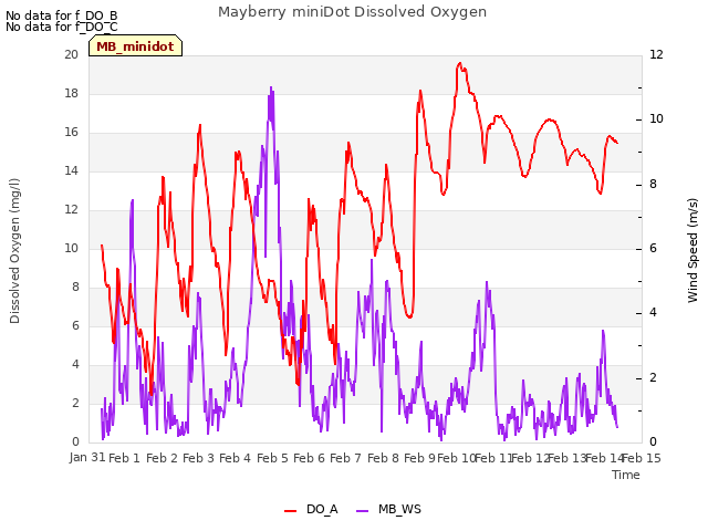 plot of Mayberry miniDot Dissolved Oxygen