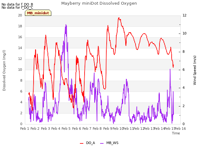 plot of Mayberry miniDot Dissolved Oxygen