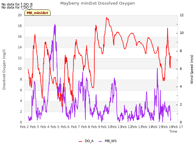 plot of Mayberry miniDot Dissolved Oxygen