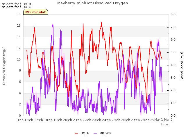 plot of Mayberry miniDot Dissolved Oxygen