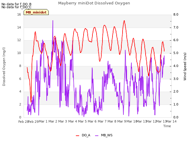 plot of Mayberry miniDot Dissolved Oxygen