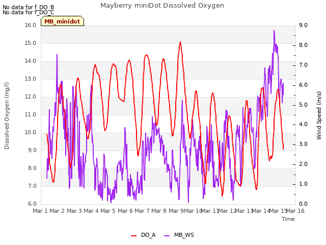 plot of Mayberry miniDot Dissolved Oxygen