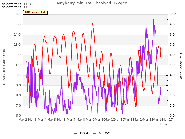 plot of Mayberry miniDot Dissolved Oxygen