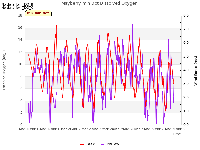 plot of Mayberry miniDot Dissolved Oxygen