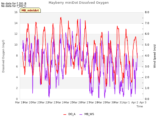 plot of Mayberry miniDot Dissolved Oxygen