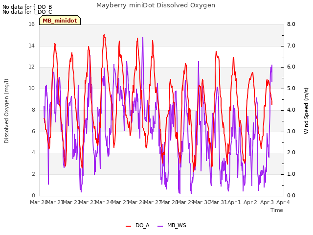 plot of Mayberry miniDot Dissolved Oxygen