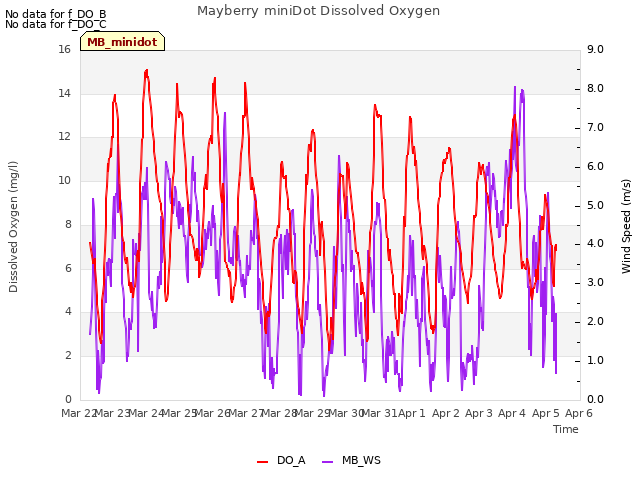 plot of Mayberry miniDot Dissolved Oxygen