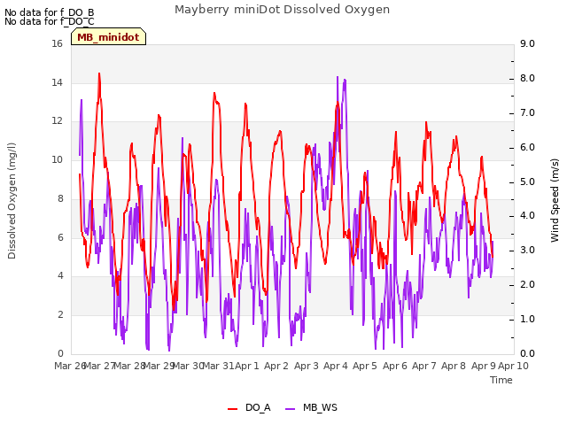 plot of Mayberry miniDot Dissolved Oxygen