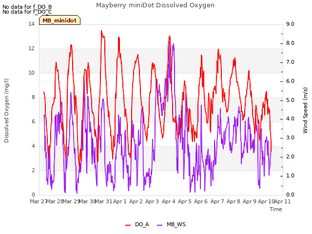 plot of Mayberry miniDot Dissolved Oxygen