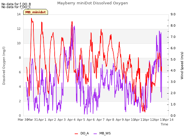 plot of Mayberry miniDot Dissolved Oxygen