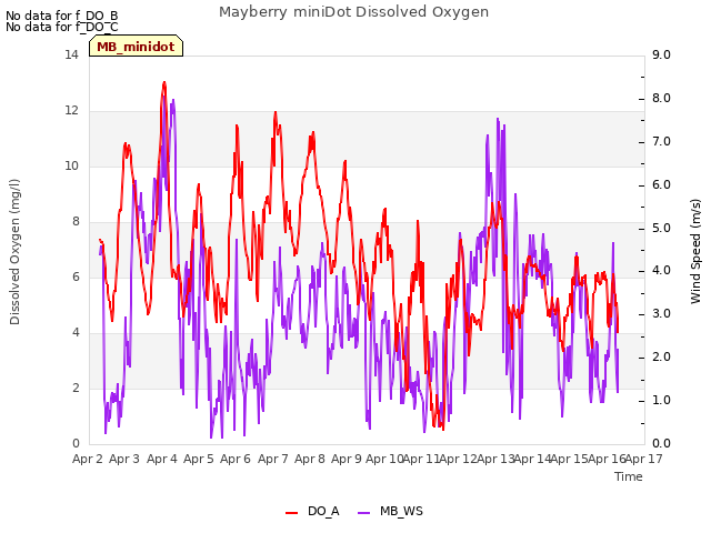 plot of Mayberry miniDot Dissolved Oxygen