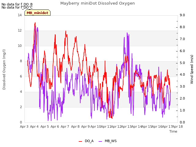 plot of Mayberry miniDot Dissolved Oxygen