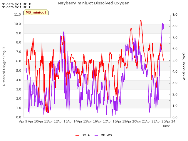 plot of Mayberry miniDot Dissolved Oxygen