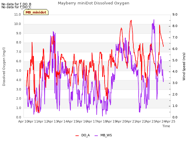 plot of Mayberry miniDot Dissolved Oxygen